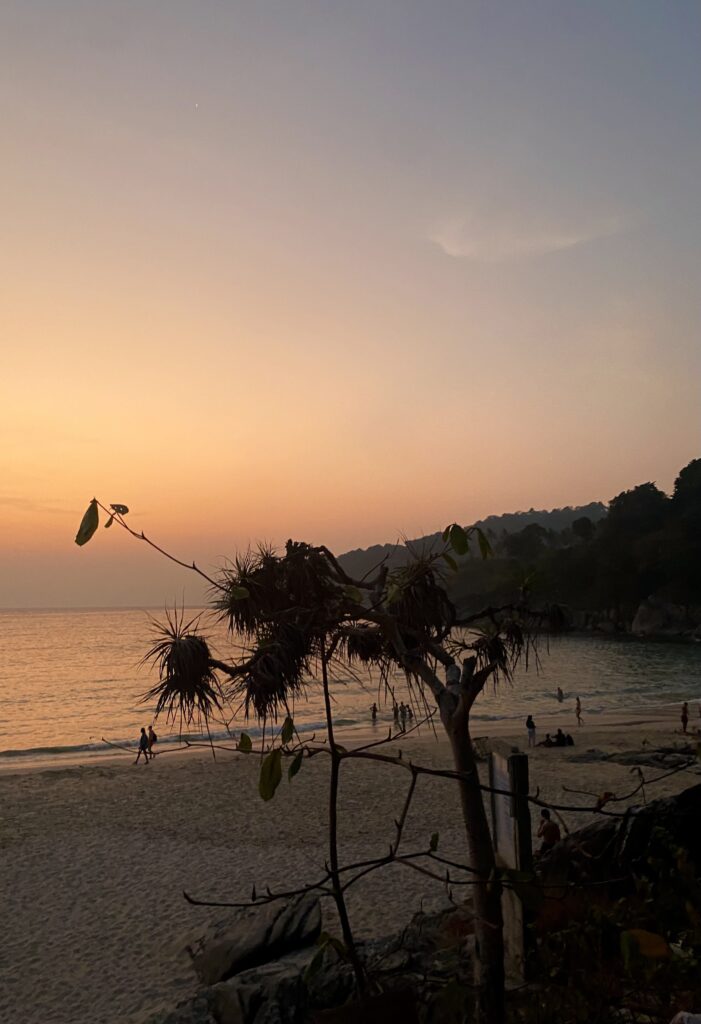 A beach at sunset