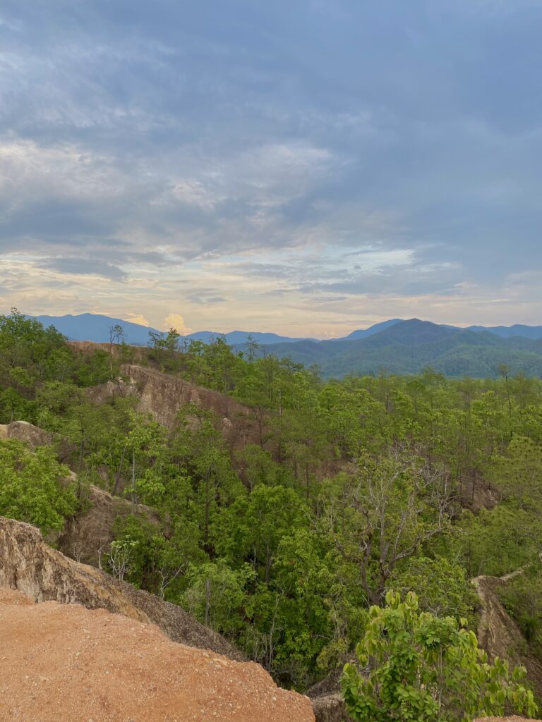 A view of a canyon with lots of trees